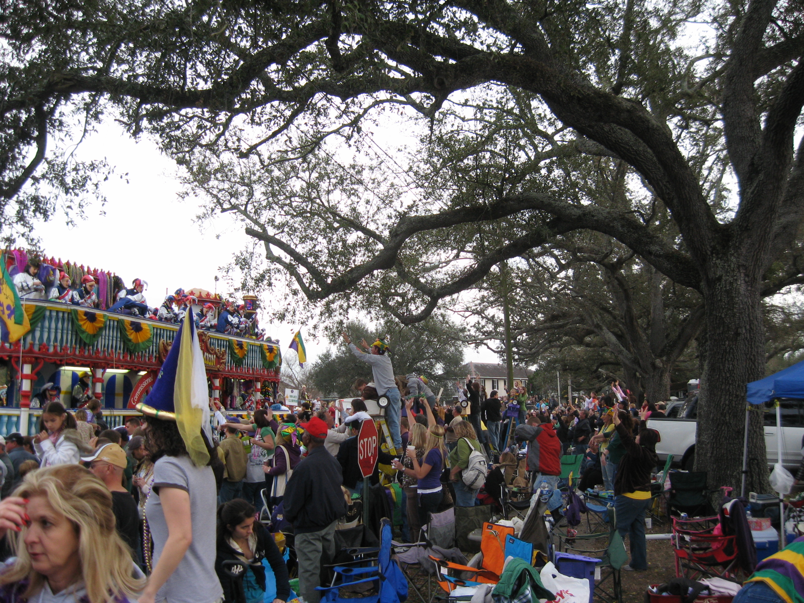 endymion parade pictures